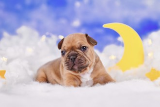 Cubby French Bulldog dog puppy between fluffy clouds with moon and stars