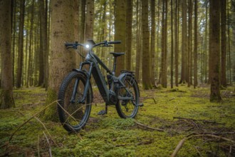 E-bike in a dense forest, leaning against a tree, surrounded by green moss, Gechingen, Black