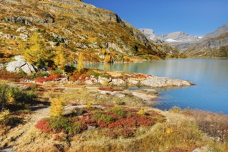 Autumn colours at Lac d'Emosson in the Valais mountains, Switzerland, Europe