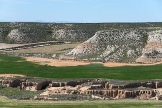 Rocky cliffs surrounded by green fields under an unclouded blue sky, Bardenas Reales Natural Park,