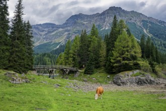 Obernberger See, mountain lake, landscape of the Stubai Alps, weather mood, cloud mood, Obernberg