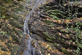 Dortebach valley in autumn, Dortebach stream flows over a sloping rock face, waterfall, Moselle,