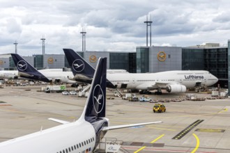 Lufthansa aircraft at the airport in Frankfurt, Germany, Europe