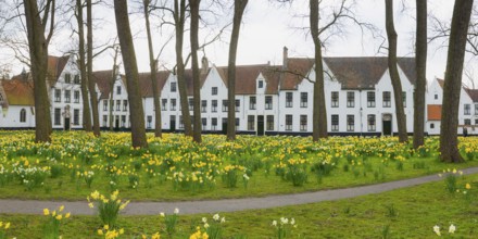 The Beguinage, Benelux, city, city trip, garden, religious, religion, West Flanders, Flanders,