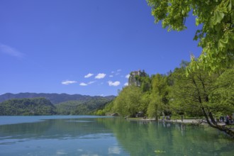 Castle of, Bled, Municipality of Bled, Slovenia, Europe