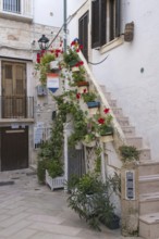 Alley in Polignano a Mare, Apulia, Italy, Europe