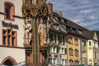 Fish fountain detail on Münsterplatz, Freiburg im Breisgau, Black Forest, Baden-Württemberg,