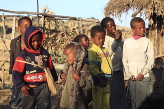 Europia district, African boys and girls on a small farm, Ethiopia, Africa