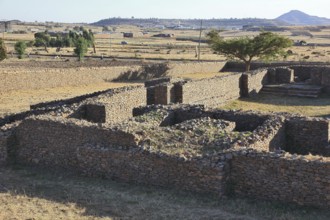 Ruins of the palace of the Queen of Sheba near Axum, Aksum, Dongur Palace, Ethiopia, Africa