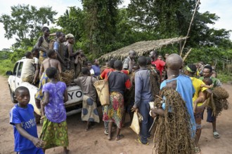 Pygmies of the Baka or BaAka people with their hunting nets on a pick-up truck, Bayanga,