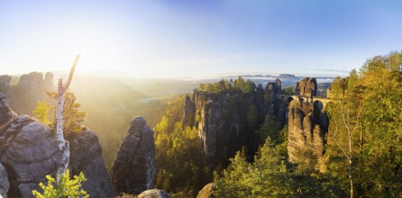 Sunrise in Saxon Switzerland, Rathen, Saxony, Germany, Europe