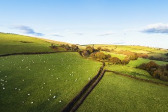 Farms over Trecastle from a drone at sunset, Brecon Beacons National Park, Powys, Wales, England,