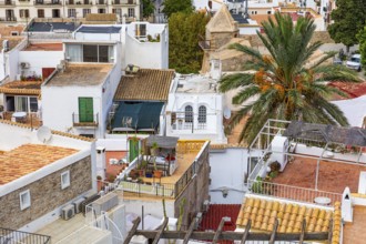 Above the rooftops of Eivissa's old town, Ibiza Town, Ibiza, Balearic Islands, Mediterranean,