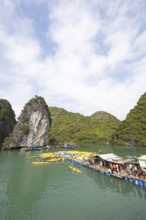 Holidaymakers queue for a kayak on a jetty, behind the karst rocks in Lan Ha Bay, Halong Bay,