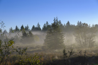 Sunrise with fog, in the Kirchsee Filzen, Kirchseemoor, near Sachsenkam, Tölzer Land, Alpine