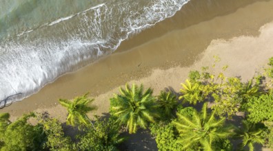 Aerial view, Top Down, Panorama, Marino Ballena National Park, Osa National Park, dream beach and