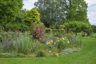 Perennial bed with roses, Burgsteinfurt district educational garden, Münsterland, North