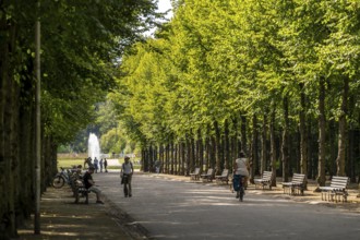 The Jägerhofallee in the Hofgarten, the central municipal park in Düsseldorf, view of the Jröner