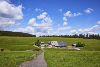 Path to a small farmstead in a landscape with meadows and forest under a blue sky with cumulus