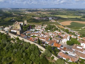 Aerial view of a town with red roofs, historical buildings and a castle, embedded in a green