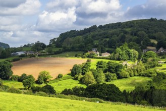 Farms in North York Moors National Park, Yorkshire, England, United Kingdom, Europe