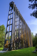 Sky ladder on the Schremser Hochmoor, municipality of Schrems, Waldviertel, Lower Austria, Austria,