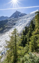 View of glacier Glacier des Bossons with sun star, behind summit of Aiguille du Midi, Chamonix,