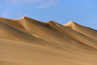 Sand dunes under a blue sky, conveying a calm and vast desert landscape, Matruh, Great Sand Sea,