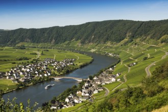 Picturesque village by the river and in the vineyards, Piesport, Moselle, Rhineland-Palatinate,