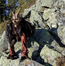 Person in devilish costume with mask and horns on rocks in front of a forest backdrop, Neukirchen