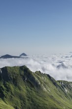 Mountains above a vast sea of clouds with clear blue sky, mountain ridge, Neukirchen am