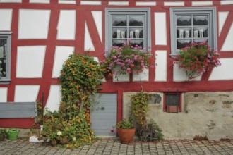 Half-timbered house with two windows, flower decoration and watering can, idyll with flower pots,