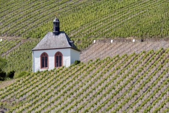 Kesselstatt Chapel in the vineyards near Kröv, burial chapel, Moselle, Rhineland-Palatinate,