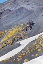 Etna National Park, Etna, Sicily, Italy, Europe