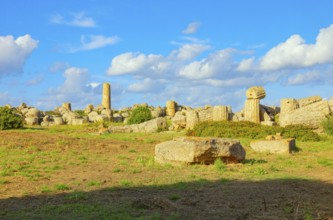 Ruins of Zeus Temple or Temple G, Selinunte Archaeological Park, Selinunte, Trapani district,