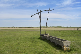 Ziehbrunnen, Illmitz, Lake Neusiedl National Park, Seewinkel, Burgenland, Austria, Europe