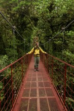 Young man, tourist on red suspension bridge between the treetops in the rainforest, Monteverde