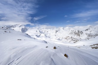 Snow-covered mountain landscape, mountain peak Monte Cevedale and glacier Zufallferner and