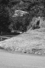 Road bike rider in spring in the Allgäu against the picturesque backdrop of the Alps, Bavaria,