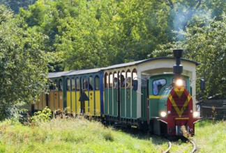 A train runs on tracks through a green, summery landscape, diesel locomotive, Wls 40 type light