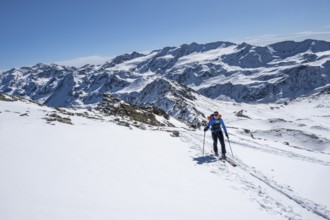 Ski tourer in front of a mountain panorama with snow-covered mountain landscape in winter, Ortler