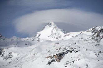 Königsspitze, summit, snow-covered mountain landscape, Ortler Alps, Vinschgau Valley, Italy, Europe