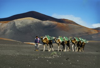 2016, Timanfaya National Park, Lanzarote, Fire Mountains of Timanfaya National Park, Montanas del