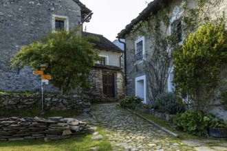 View of the village, typical Ticino stone houses in the mountain village of Rasa, Centovalli,