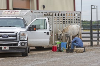 Oklahoma City, Oklahoma, A rodeo participant tends to her horse at the Great Plains Rodeo, an