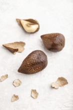 Salak or snake fruit on gray concrete background. Side view, close up, selective focus. Tropical,