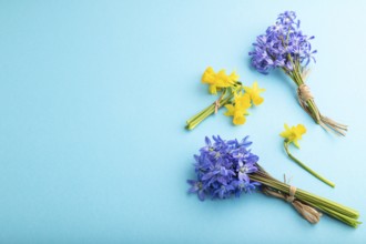 Spring snowdrop flowers bluebells, narcissus on blue pastel background. side view, copy space,