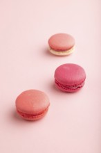 Purple and pink macaroons on pink pastel background. side view, close up, still life, selective