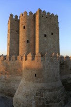 Torre de la Calahorra medieval tower and Roman bridge, Cordoba, Spain, Europe