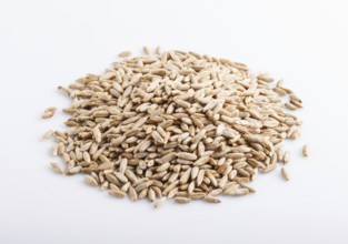 Heap of rye grains isolated on white background. close up, selective focus, side view